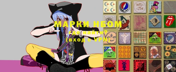 сатива Кукмор