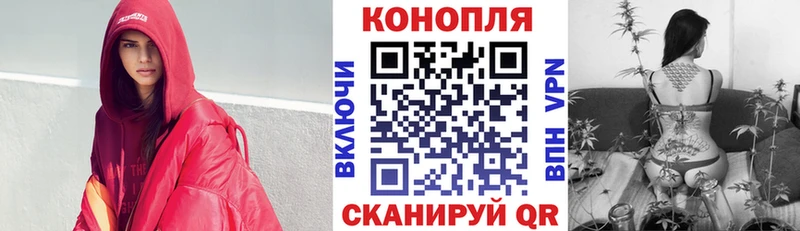 Купить закладки  Камышин  Марихуана конопля 